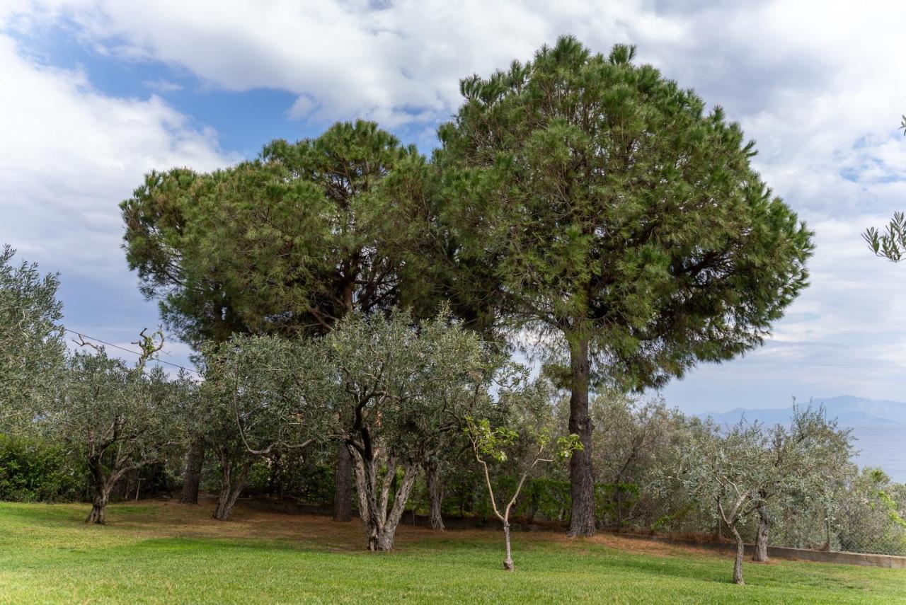 Villa Elia Kavala - Mediterranean Holiday Villa Palaiontsiflikion Bagian luar foto