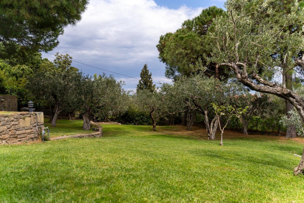 Villa Elia Kavala - Mediterranean Holiday Villa Palaiontsiflikion Bagian luar foto